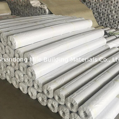 PVC roofing membrane waterproof ASTM Standard for Roofing System