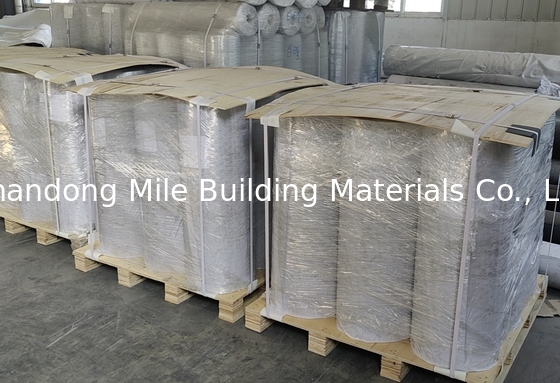 Polyester mesh reinforced TPO Thermoplastic Polyolefin waterproofing membrane