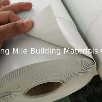 Polyvinyl Chloride PVC Hight Polymer Waterproofing Membrane for Tunnel Waterproof Project
