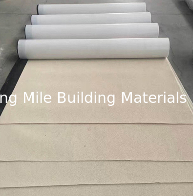 Sand Finish High Density Polyethylene HDPE Pre-Applied Waterproof Membrane for Basement