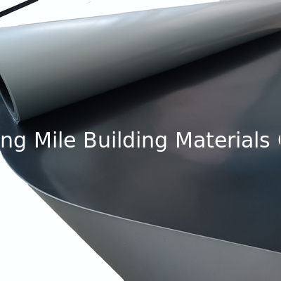 200cm, 3005cm Width Flat Roof Waterproofing TPO Membrane Industrial Design Style Butyl Rubber Material