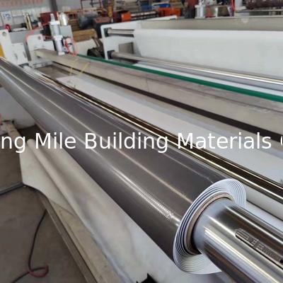 200cm Width Flat Roof Waterproofing TPO Membrane Industrial Design Style Butyl Rubber Material Wall Hotels Plants Workshops