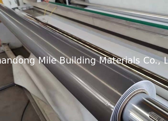 200cm, 3005cm Width Flat Roof Waterproofing TPO Membrane Industrial Design Style Butyl Rubber Material