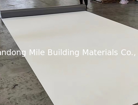 200cm, 3005cm Width Flat Roof Waterproofing TPO Membrane Industrial Design Style Butyl Rubber Material