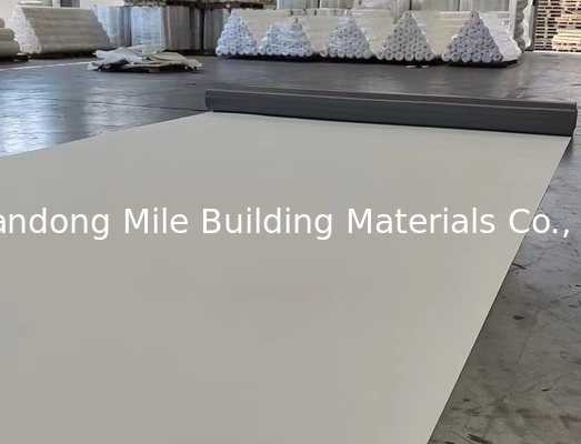 200cm, 3005cm Width Flat Roof Waterproofing TPO Membrane Industrial Design Style Butyl Rubber Material