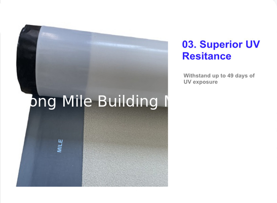 From Manufacturer HDPE sheet waterproofing rolling membrane Pre Applied Waterproof HDPE Membrane