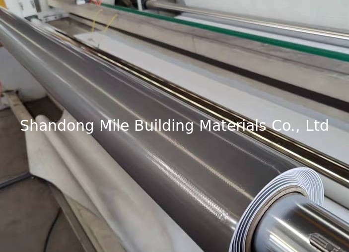200cm, 3005cm Width Flat Roof Waterproofing TPO Membrane Industrial Design Style Butyl Rubber Material